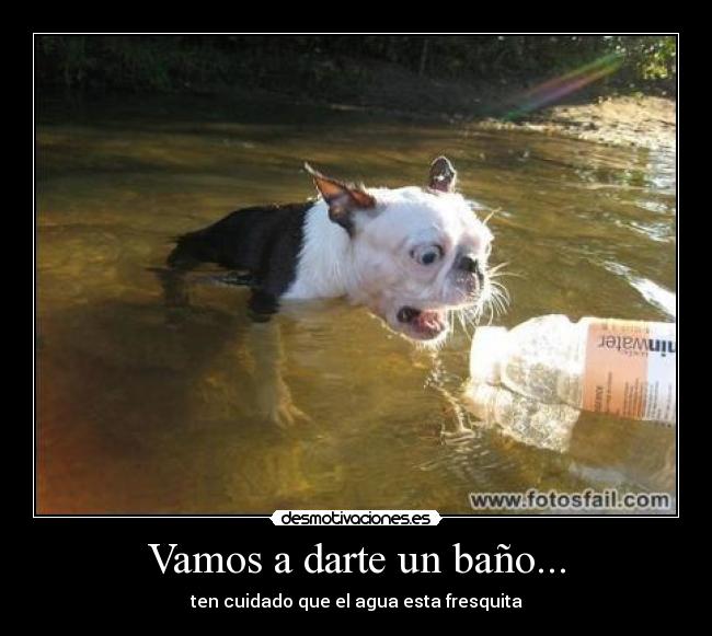 Vamos a darte un baño... - ten cuidado que el agua esta fresquita