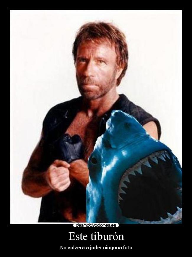 Este tiburón - No volverá a joder ninguna foto