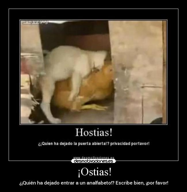 ¡Ostias! -