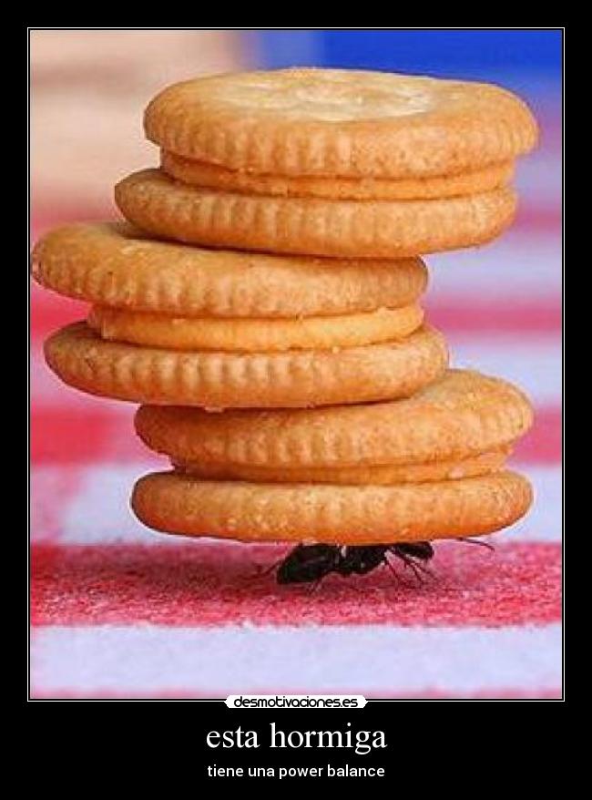 esta hormiga -