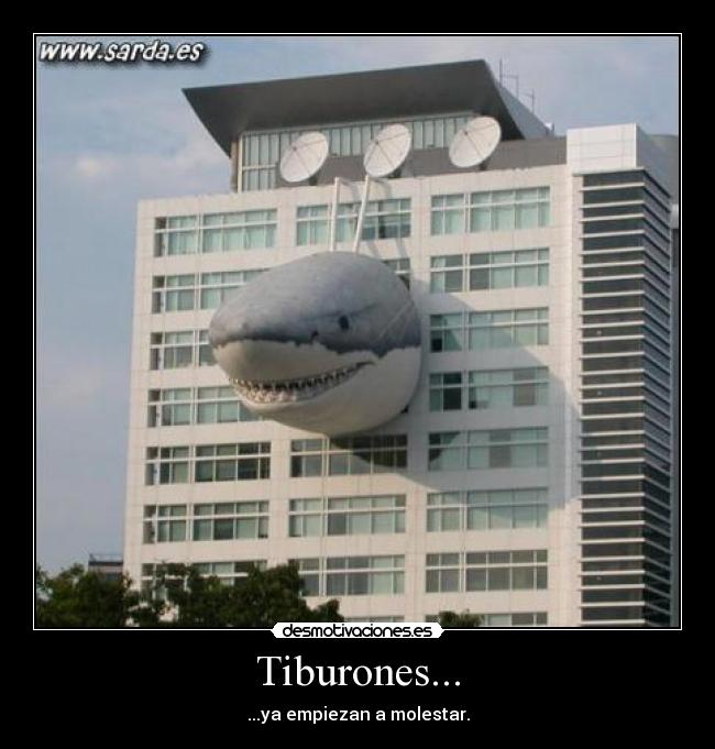 Tiburones... - ...ya empiezan a molestar.