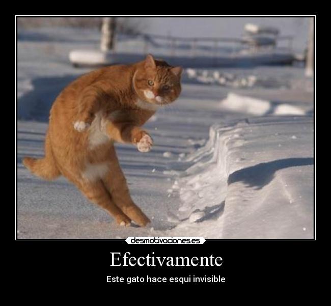 Efectivamente -