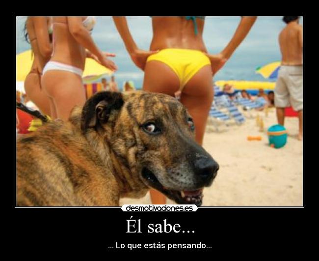 Él sabe... -