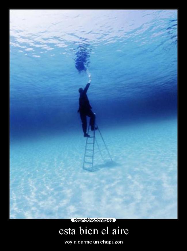 carteles senor las desmotivaciones desmotivaciones