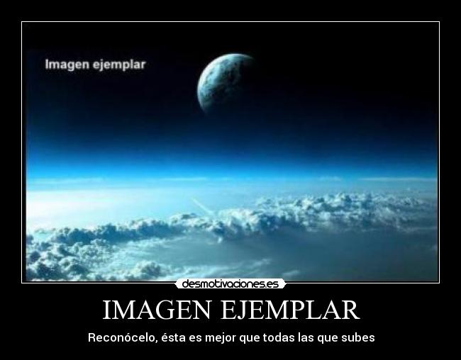 IMAGEN EJEMPLAR - 