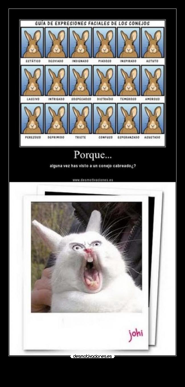 carteles desmotivaciones