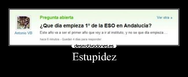 Estupidez -