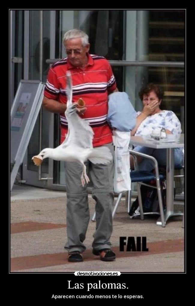 Las palomas. - Aparecen cuando menos te lo esperas.