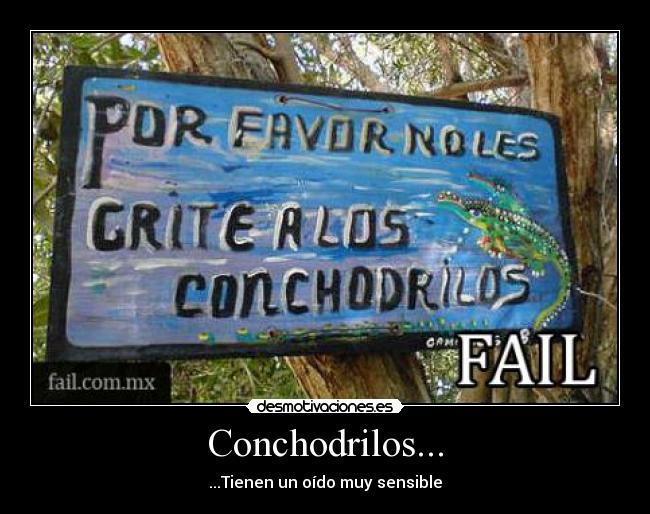 Conchodrilos... -