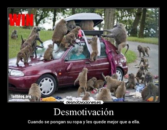 Desmotivación - Cuando se pongan su ropa y les quede mejor que a ella.