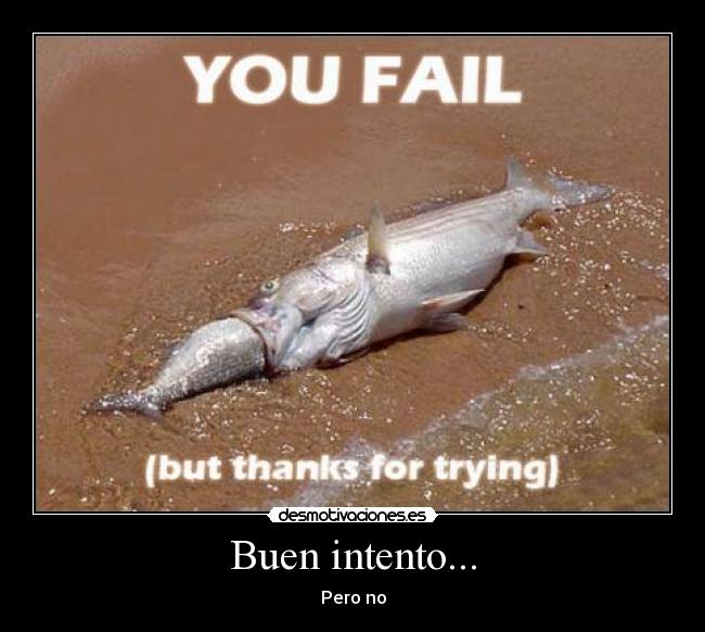 Buen intento... - Pero no