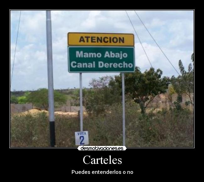 Carteles - 