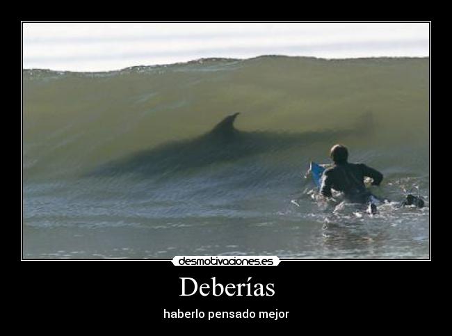 carteles deberias haberlo pensado mejor tiburon tiburones desmotivaciones