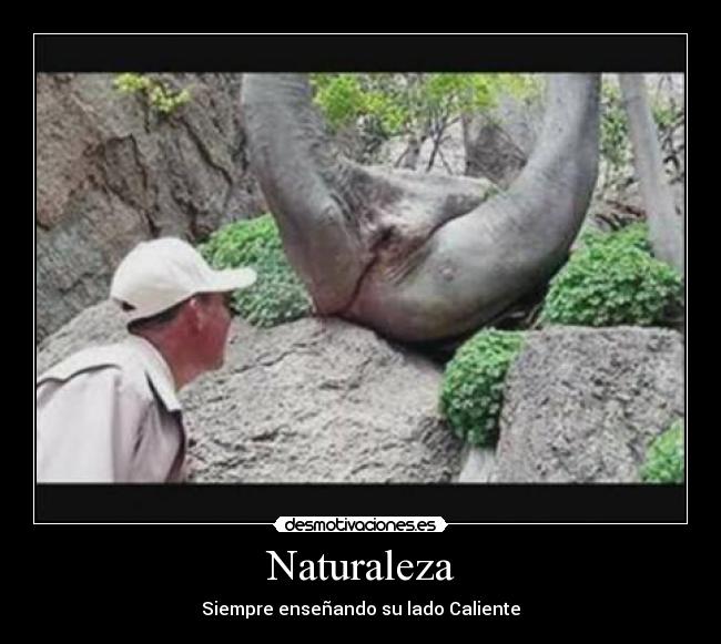 Naturaleza - 