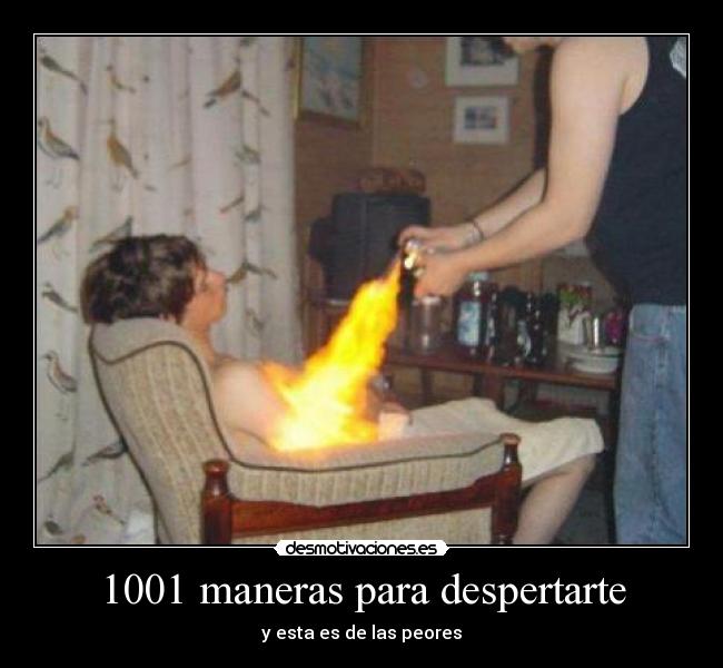 1001 maneras para despertarte - 