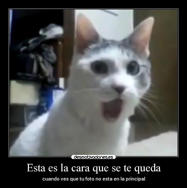 carteles riky1300 desmotivaciones