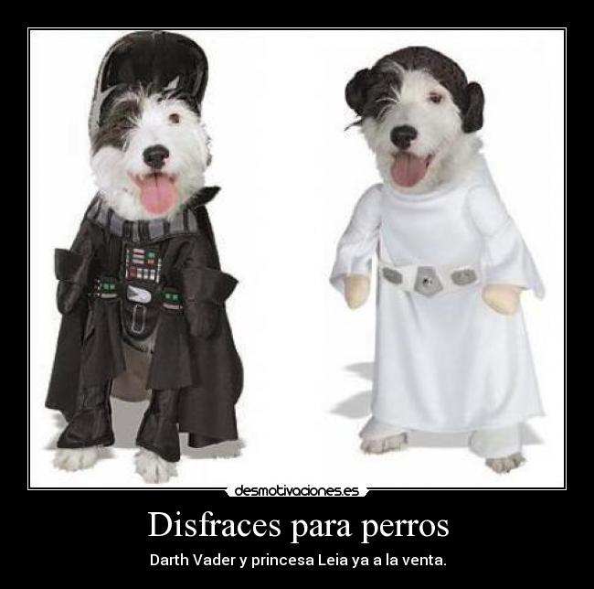 Disfraces para perros -