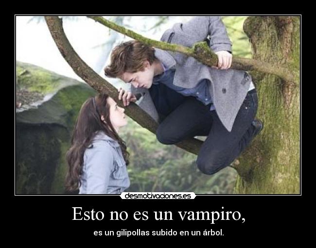 Esto no es un vampiro, - es un gilipollas subido en un árbol.