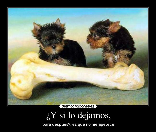 ¿Y si lo dejamos, - para después?, es que no me apetece