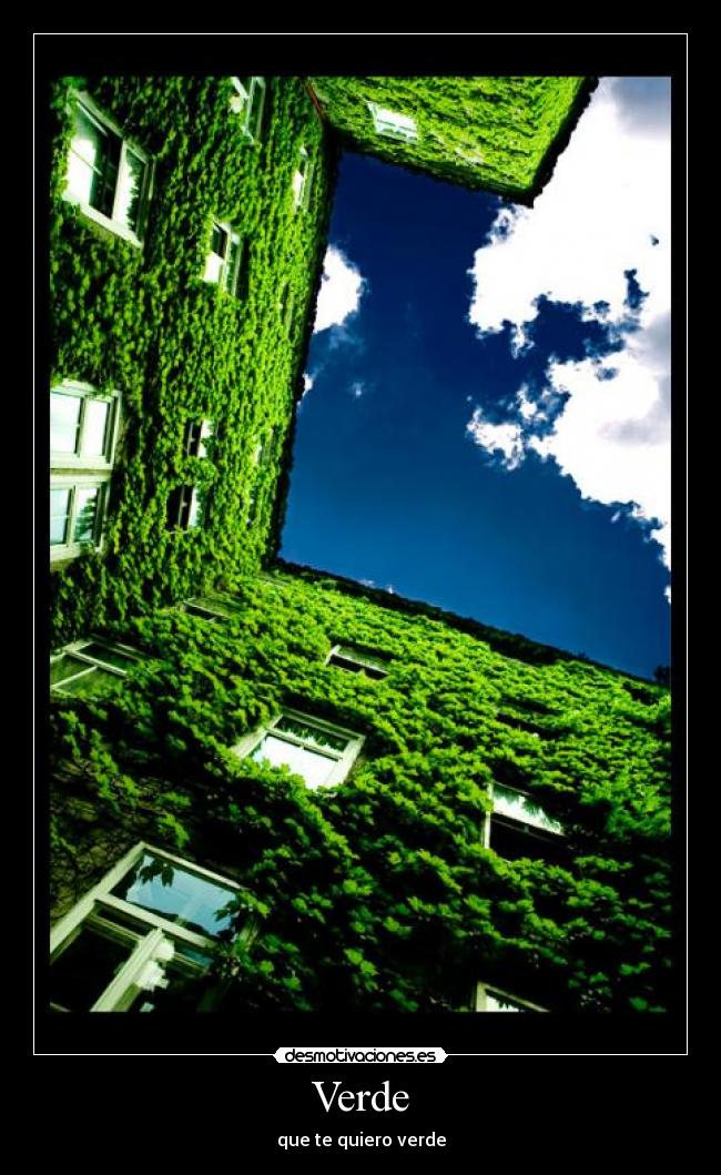 Verde - 