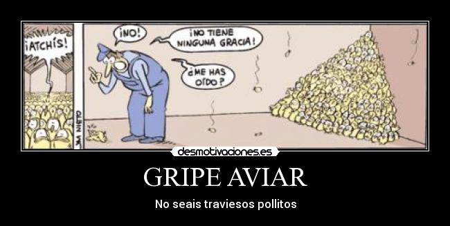 GRIPE AVIAR -