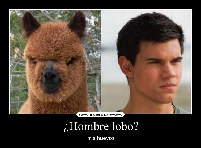 ¿Hombre lobo? -