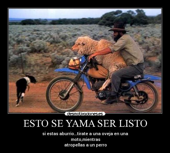 ESTO SE YAMA SER LISTO - 