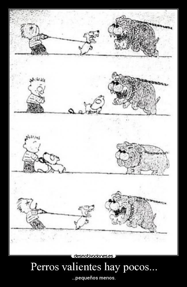 Perros valientes hay pocos... - ...pequeños menos.