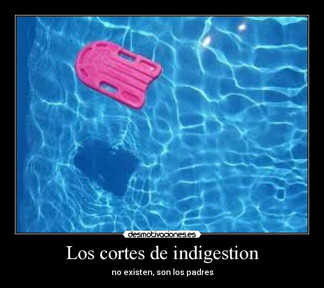 Los cortes de indigestion - 