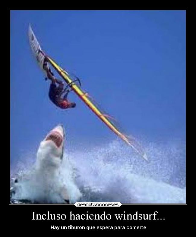 Incluso haciendo windsurf... - Hay un tiburon que espera para comerte