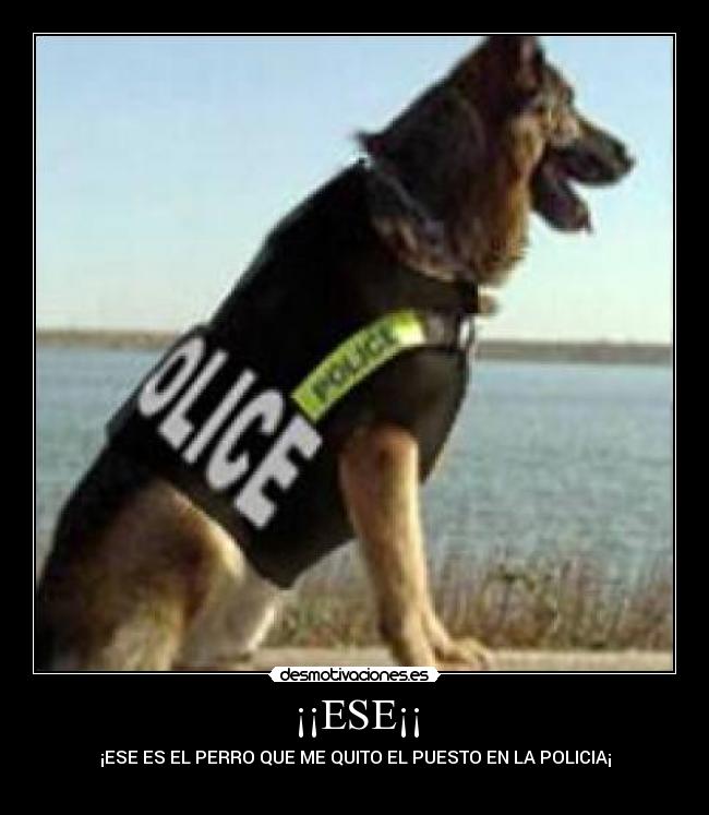 carteles  desmotivaciones