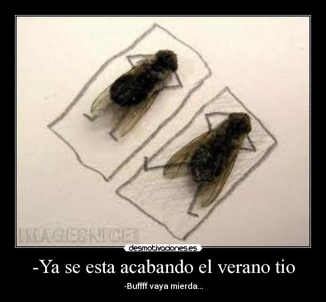 -Ya se esta acabando el verano tio - 