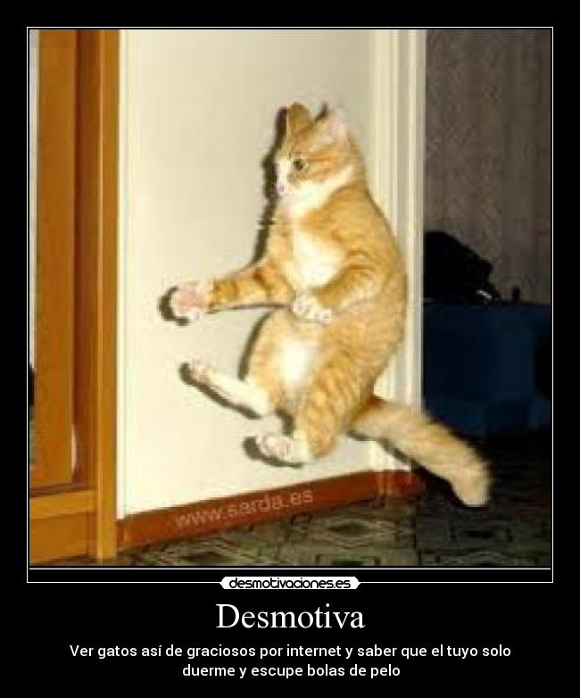 Desmotiva -