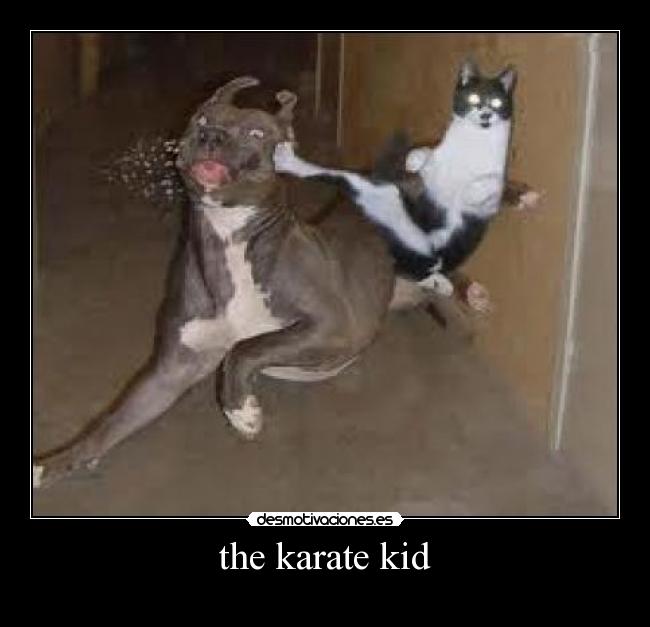 the karate kid - 