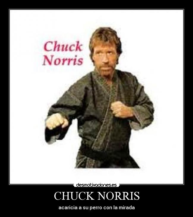 CHUCK NORRIS - acaricia a su perro con la mirada