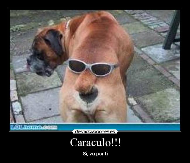 Caraculo!!! -