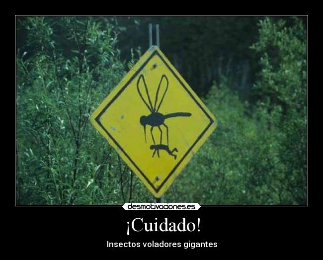 ¡Cuidado! -