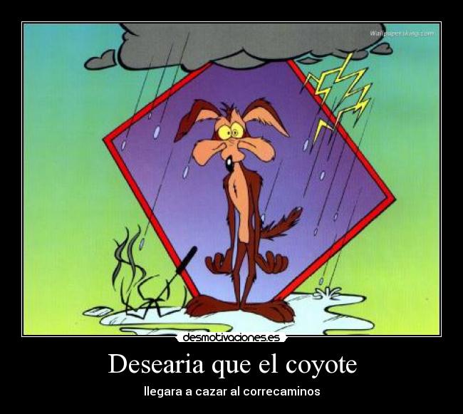 Desearia que el coyote - 