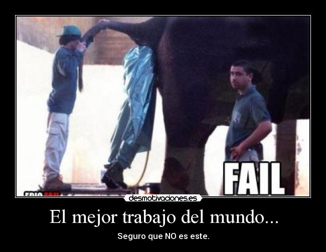 carteles trabajo mundo mejor trabajo del mundo desmotivaciones