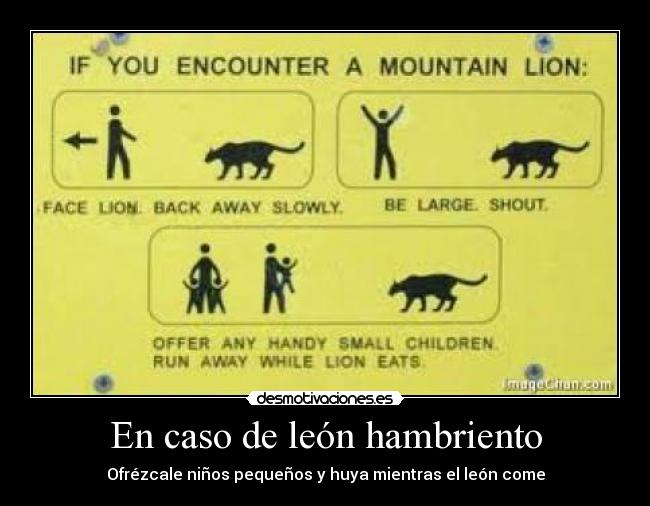 En caso de león hambriento -