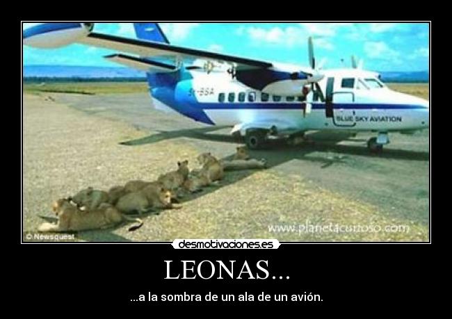 carteles  desmotivaciones