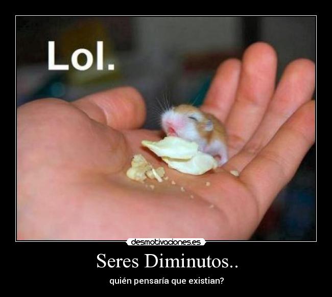 Seres Diminutos.. - quién pensaría que existian?