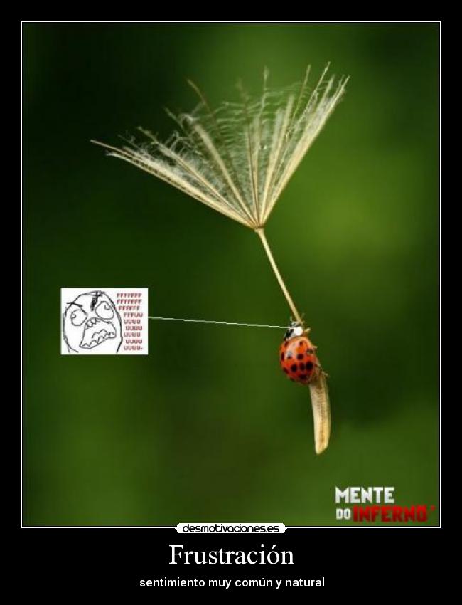 Frustración - 