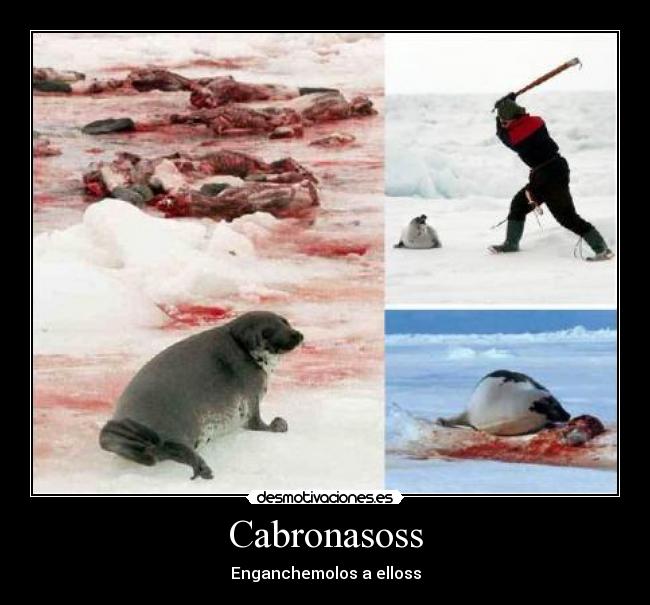 Cabronasoss -