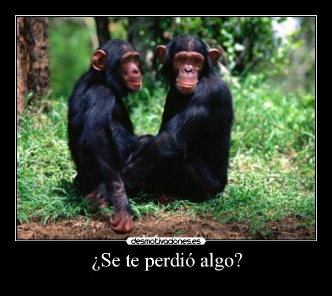 carteles  desmotivaciones