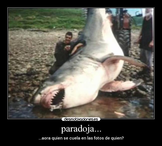 paradoja... - ...aora quien se cuela en las fotos de quien?