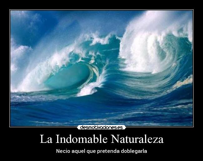 carteles naturaleza naturaleza ola surf desmotivaciones