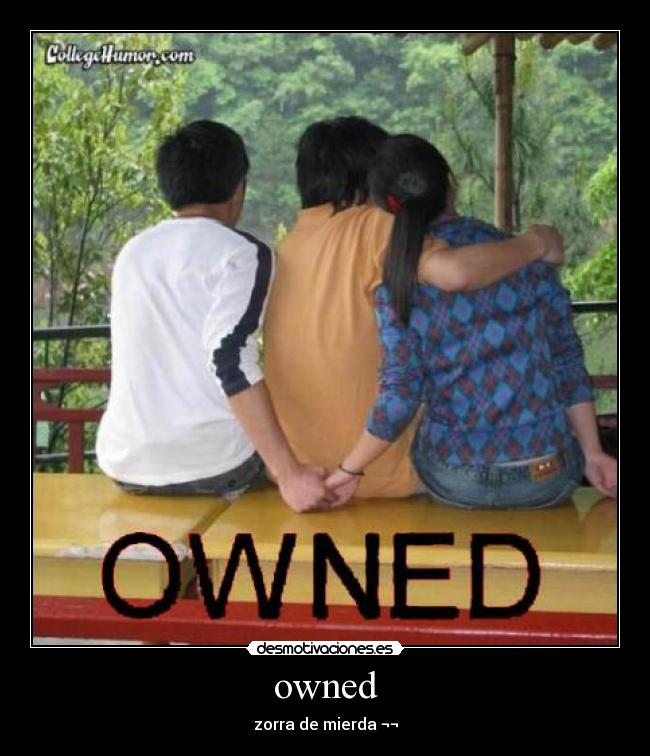 owned - zorra de mierda ¬¬