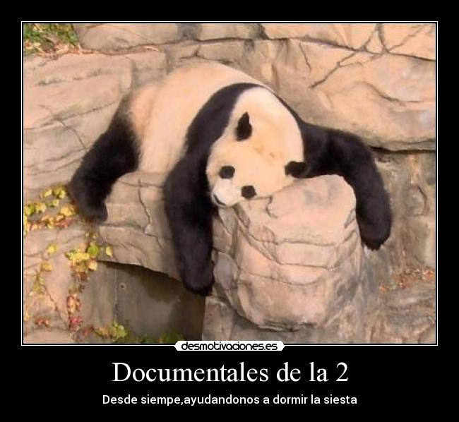 Documentales de la 2 - 