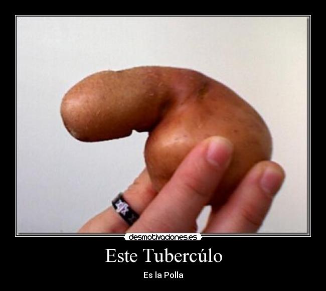 Este Tubercúlo - Es la Polla